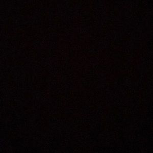 Meet your Posher, Dayanara